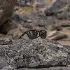 Suncloud Topsail Sunglasses