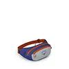 Osprey Daylite Waist Pack (Past Season)