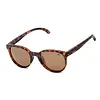Urban Element La Jolla Sunglasses