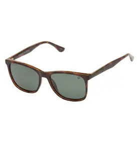 Urban Element Urban Element Nantucket Sunglasses