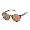 Urban Element Sandstone Sunglasses