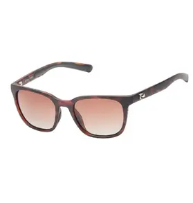 Urban Element Urban Element Tahoe Sunglasses