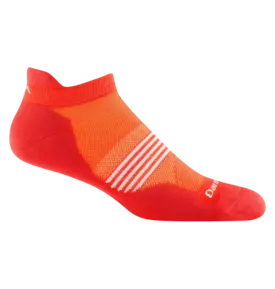 Darn Tough Darn Tough Element Cushioned Lightweight Running No-Show Tab Sock Men's 1116
