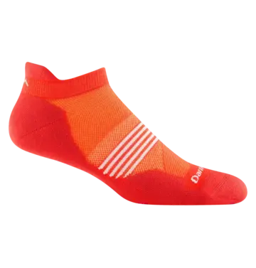 Darn Tough Darn Tough Element Cushioned Lightweight Running No-Show Tab Sock Men's 1116