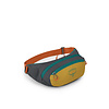 Osprey Daylite Waist Pack (Past Season)