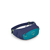 Osprey Daylite Waist Pack (Past Season)