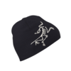 Arc'teryx Satoro Toque