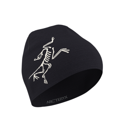 Arc'teryx Satoro Toque