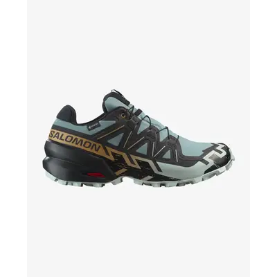 Salomon Speedcross 6 GTX Shoe Men's
