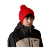 Patagonia Powder Town Beanie