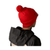 Patagonia Powder Town Beanie