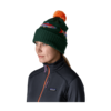 Patagonia Powder Town Beanie