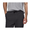 Patagonia Daily Sweatpants Men's