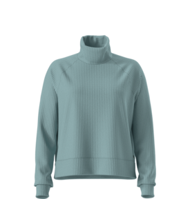 The North Face The North Face Long Sleeve Mock Neck Chabot Women's