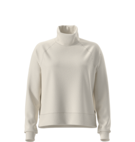The North Face The North Face Long Sleeve Mock Neck Chabot Women's