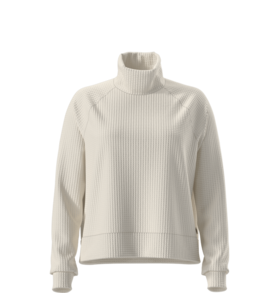 The North Face The North Face Long Sleeve Mock Neck Chabot Women's
