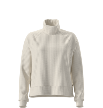 The North Face The North Face Long Sleeve Mock Neck Chabot Women's