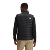 The North Face Terra Peak Vest Men's