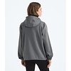 The North Face Performance Fleece Full Zip Hoodie Women's