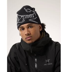 Arc'teryx Arc'teryx Bird Head Toque