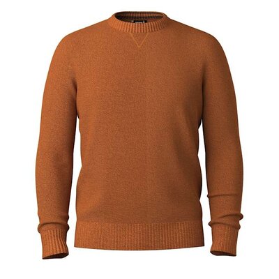 Smartwool Sparwood Crew Sweater Men's