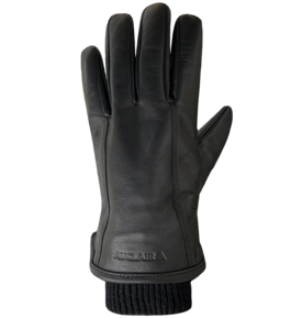 Auclair Auclair Aiden Glove Men's