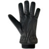 Auclair Aiden Glove Men's