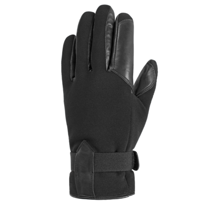 Auclair Miguel Gloves Men's