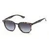 Urban Element Autumn Sunglasses