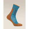 Icebreaker Merino Hike+ Medium Crew Sock Men's