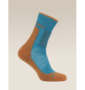 Icebreaker Icebreaker Merino Hike+ Medium Crew Sock Men's