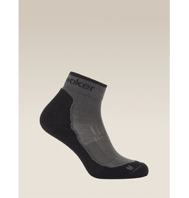 Icebreaker Merino Hike+ Light Mini Sock Women's