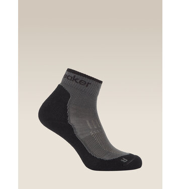 Icebreaker Icebreaker Merino Hike+ Light Mini Sock Women's