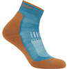 Icebreaker Merino Hike+ Light Mini Sock Men's