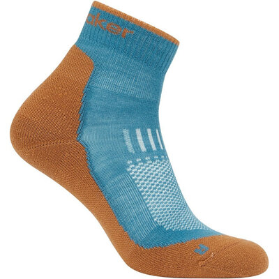 Icebreaker Merino Hike+ Light Mini Sock Men's