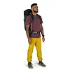 Osprey Talon 33 Backpack