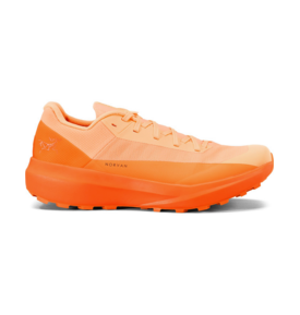 Arc'teryx Arc'teryx Norvan LD 4 Shoe Women's (Past Season)
