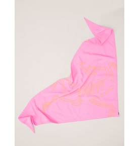 Arc'teryx Arc'teryx Sinsolo Bandana