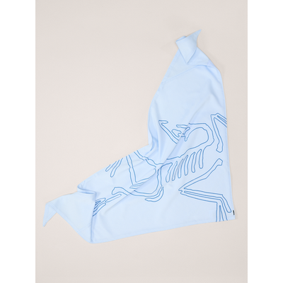 Arc'teryx Sinsolo Bandana
