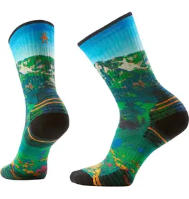 Smartwool Smartwool Hike Targeted Cushion Mountain Lake Crew Sock Women's 3030