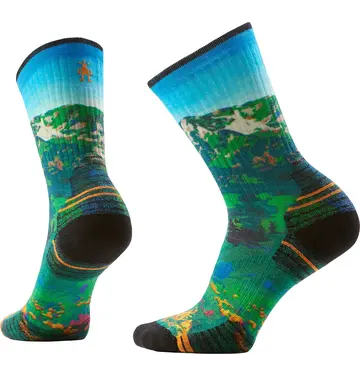 Smartwool Smartwool Hike Targeted Cushion Mountain Lake Crew Sock Women's 3030