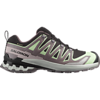Salomon XA Pro 3D V9 GTX Hiking Shoe Women's