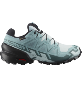Salomon Salomon Speedcross 6 GTX Shoe Women's