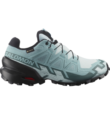 Salomon Salomon Speedcross 6 GTX Shoe Women's