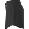 The North Face Aphrodite Arise Skort Women's