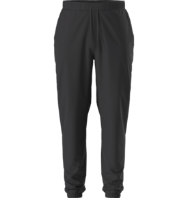 The North Face The North Face Paramount Jogger Pant Men's