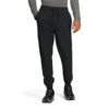 The North Face Paramount Jogger Pant Men's