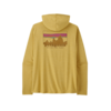 Patagonia Capilene Cool Daily Graphic Hoody Men's