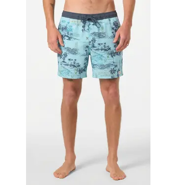 O'Neill O'Neill Hermosa Retro Lined 17" Volley Boardshorts Men's