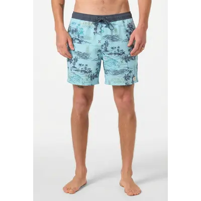 O'Neill Hermosa Retro Lined 17" Volley Boardshorts Men's